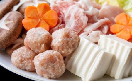 300個セット!使い勝手最高の国産鶏つくね B-1071-AS