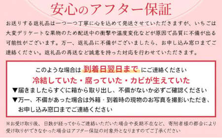 ☆赤い宝石☆佐賀県産いちごさん（240g✕4P）計960g【先行予約開始】2025年1月より順次発送【数量限定】A-66-AS