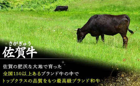 N-53 佐賀牛｢トウガラシ(トンビ)ブロック｣ 1500g