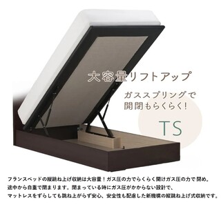 フランスベッド ファディア FAD-C1 TS(縦跳ね上げ収納260mm) 【 フレームのみ 】 S シングル R-291