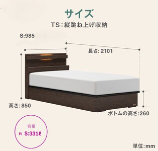 フランスベッド ファディア FAD-C1 TS(縦跳ね上げ収納260mm) 【 フレームのみ 】 S シングル R-291