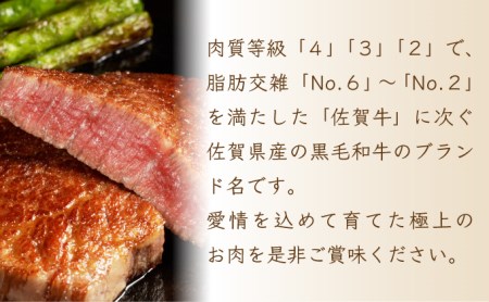 【佐賀産和牛】ハンバーグ120g×5個 B-1008