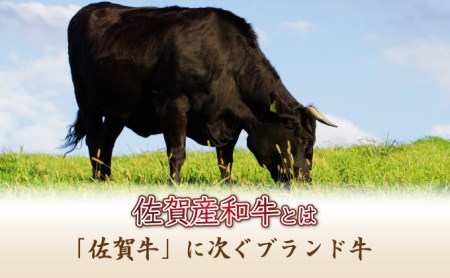 【佐賀産和牛】ハンバーグ120g×10個 D-607