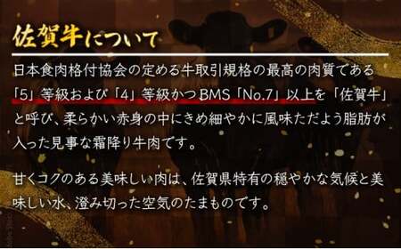 佐賀牛「切り落とし」 700g D-438