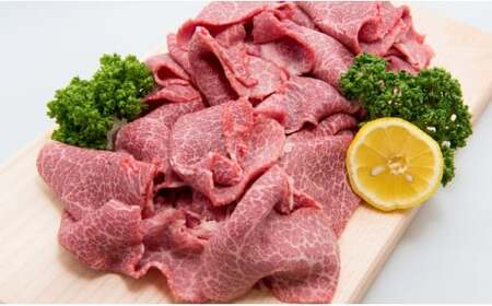 佐賀牛「切り落とし」 700g D-438