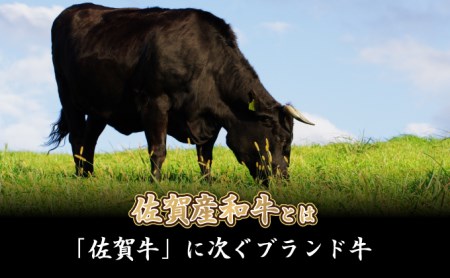 E-160 【佐賀産和牛】ヒレステーキ120gｘ3枚