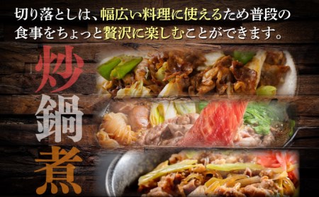 B-1016 【佐賀牛】切り落とし500g