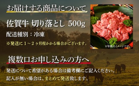 B-1016 【佐賀牛】切り落とし500g