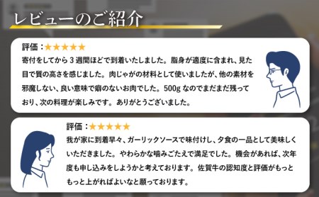 B-1016 【佐賀牛】切り落とし500g