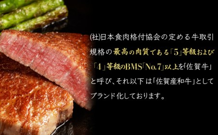 B-1016 【佐賀牛】切り落とし500g