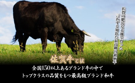 【佐賀牛】ローススライス(すき焼き・しゃぶしゃぶ)500g D-613