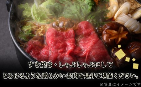 【佐賀牛】ローススライス(すき焼き・しゃぶしゃぶ)500g D-613