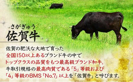 500g 佐賀牛｢モモしゃぶしゃぶ･すき焼き用｣ D-335