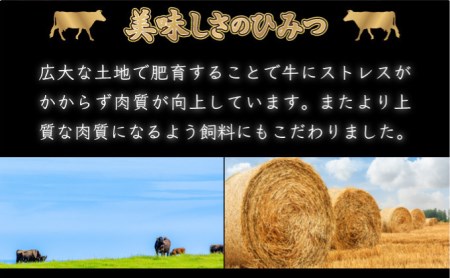 C-589【佐賀牛】モモブロック(タタキ・ローストビーフ・焼肉等)500g