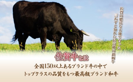 【佐賀牛】ハンバーグ120g×10個 D-606