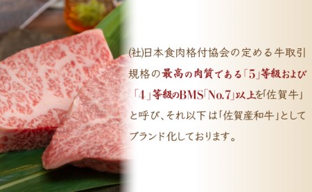 【佐賀牛】ハンバーグ120g×10個 D-606