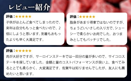 B-1015 【佐賀産和牛】サイコロステーキ500g