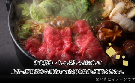【佐賀産和牛】モモスライス(すき焼き・しゃぶしゃぶ)500g B-1014