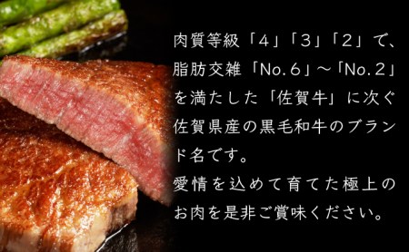 B-1013 【佐賀産和牛】特選カルビ焼肉用 500g