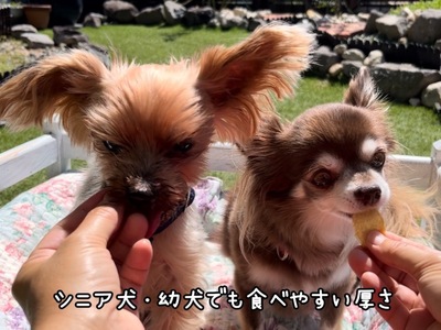 FB133_【訳あり】スモークの香りがたまらない☆スモークチキンジャーキー