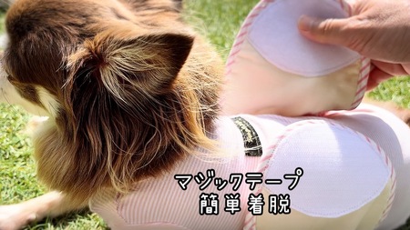 FB163_超小型犬・シニア犬の冷え性対策腹まき☆Lサイズ【4枚セット】