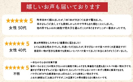 FM038_＜ご寄附より３週間以内発送＞鮮鼓堂無着色明太子　1本物500g【KMM1-500】