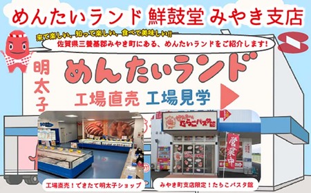 FM038_＜ご寄附より３週間以内発送＞鮮鼓堂無着色明太子　1本物500g【KMM1-500】