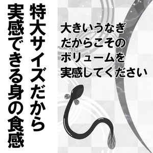 FK037_特大サイズ計１ｋｇの有頭鰻かば焼 1尾あたり約334ｇ前後×3尾（たれ・山椒付き）