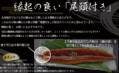 FM065_伝統酵母　うなぎの蒲焼　千栗　国産160g×２