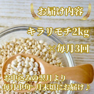 CIB27_【３回定期便】キラリモチ２ｋｇ もち麦 キラリ もち麦ごはん
