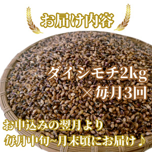 CIB37_【３回定期便】ダイシモチ２ｋｇ もち麦 キラリ もち麦ごはん