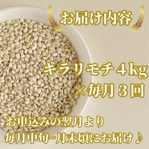 CIC13_【３回定期便】キラリモチ４ｋｇ もち麦 キラリ もち麦ごはん