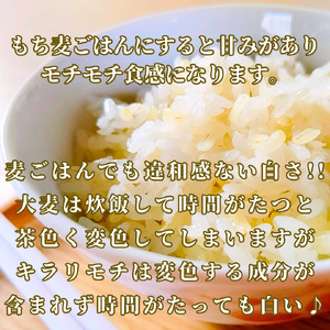 CIC13_【３回定期便】キラリモチ４ｋｇ もち麦 キラリ もち麦ごはん