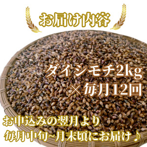 CIB39_【１２回定期便】ダイシモチ２ｋｇ もち麦 キラリ もち麦ごはん