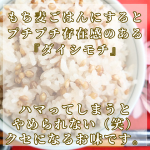 CIB39_【１２回定期便】ダイシモチ２ｋｇ もち麦 キラリ もち麦ごはん