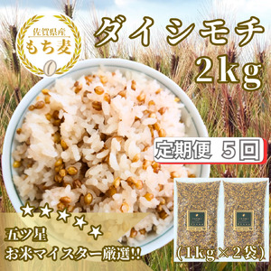 CIB40_【５回定期便】ダイシモチ２ｋｇ もち麦 キラリ もち麦ごはん