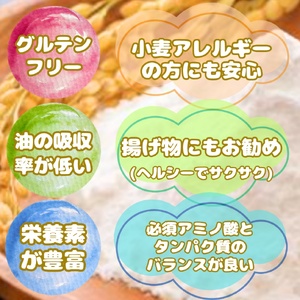 CIB48_佐賀県産 米粉500g×4袋