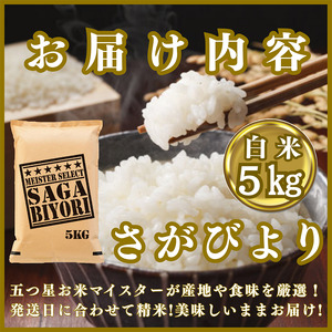 CID73_『新米予約』令和７年産『さがびより』白米５㎏　※新米収穫後11月以降発送