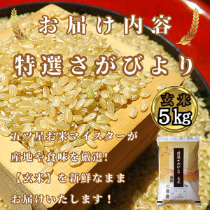 CIC36_『新米予約』令和７年産　特選さがびより【玄米】５㎏　※新米収穫後11月以降発送