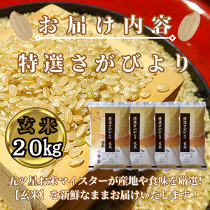CIC38_『新米予約』令和７年産　特選さがびより【玄米】20㎏(５㎏×４袋)　※新米収穫後11月以降発送