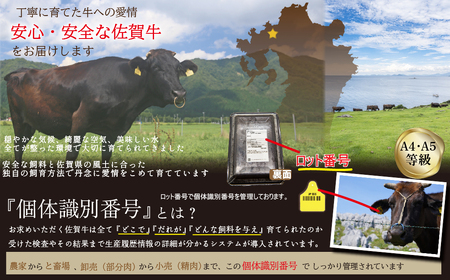 FM055_佐賀牛焼肉用（モモウデ）530g