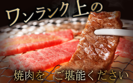 FM055_佐賀牛焼肉用（モモウデ）530g