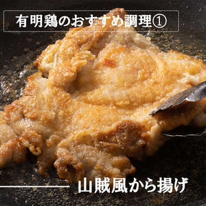 BN129_有明鶏もも肉1ｋｇ（500ｇｘ2ｐ）