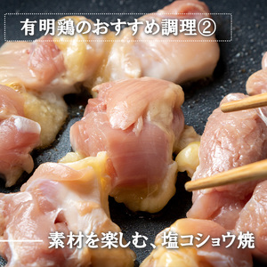 BN129_有明鶏もも肉1ｋｇ（500ｇｘ2ｐ）