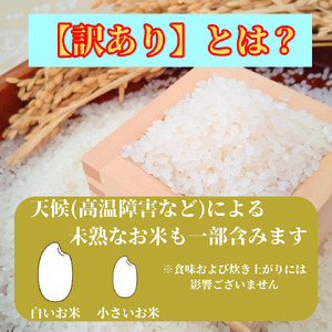 CID14_【がばい！U米(うまい)】≪無洗米≫お徳用１０ｋｇ！ （５ｋｇ×２袋）