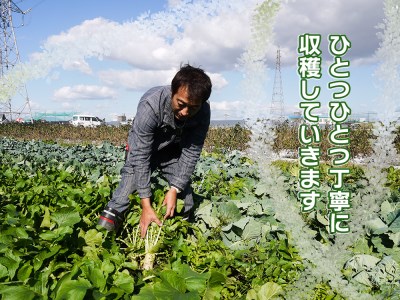 CC001_かずちゃんの朝採り新鮮野菜セット【みやき町産朝採り野菜をお届け】