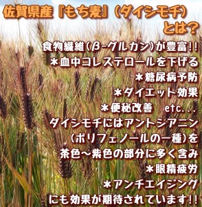 CI015_佐賀県産『もち麦』２㎏(１㎏×２袋)【ダイシモチ】
