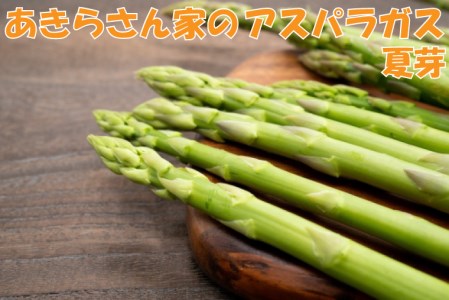 CA001_あきらさん家のアスパラガス1,2kg