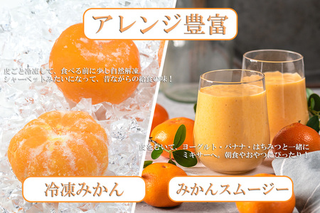 DV103_ハウスみかん1ｋｇ