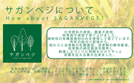 CQ006_ビーガン米10㎏　玄米 【植物性で育てた完全無農薬のサガンベジブランド】